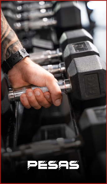 pesas, mancuernas, bumpers, discos 