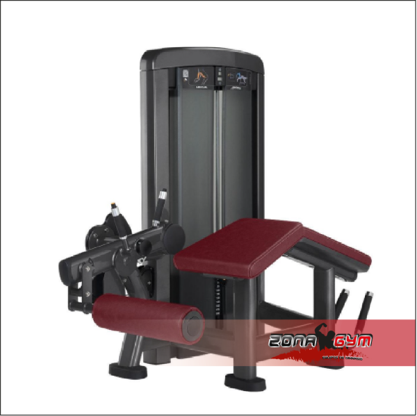 Máquina de cuadriceps placas